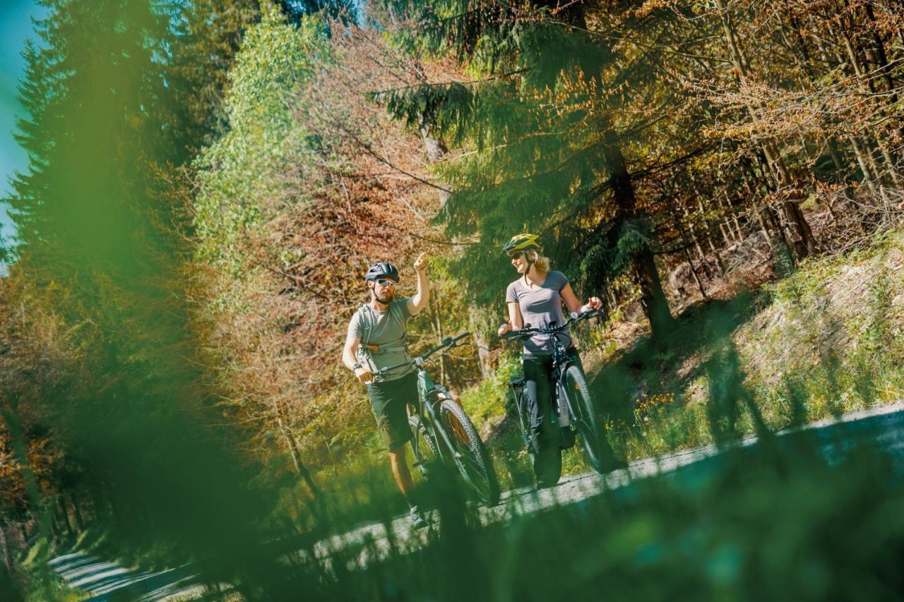 Waldhotel Vogtland Klingenthal Eksteriør billede